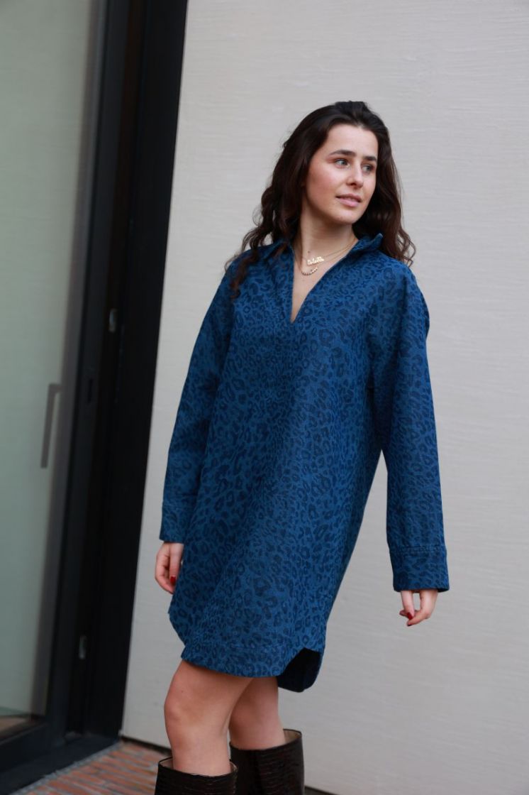Aglossa Blue
