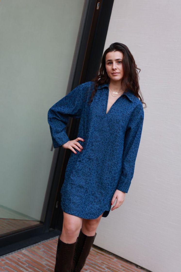 Aglossa Blue